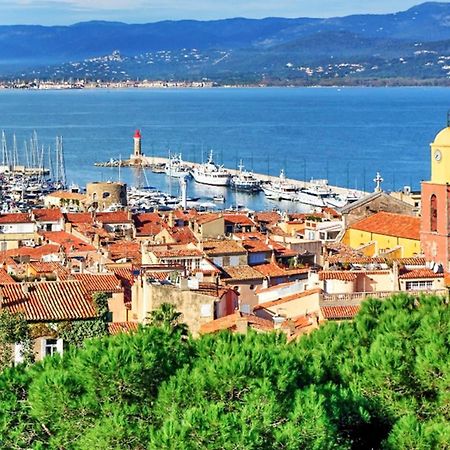 Maison Charmante A Cogolin Avec Vue Sur La Mer Et Piscine 外观 照片
